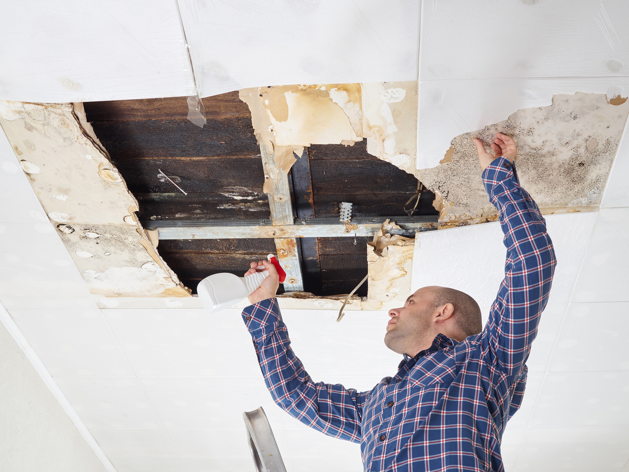 water damage repair