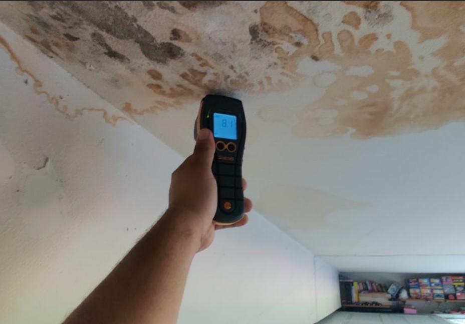 mildew and mold removal